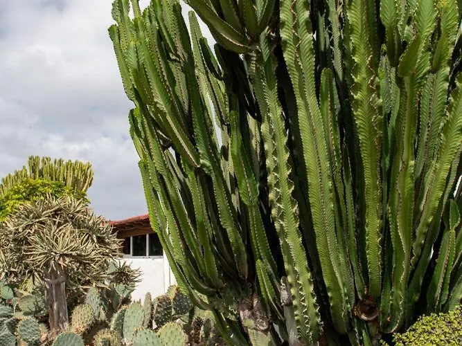 Luna Nudist Place * Charco del Palo