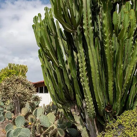 Luna Nudist Place * Charco del Palo